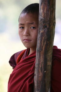 Young monk