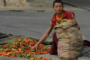 Sorting Chilies