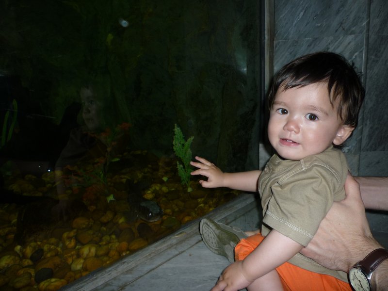 At the aquarium