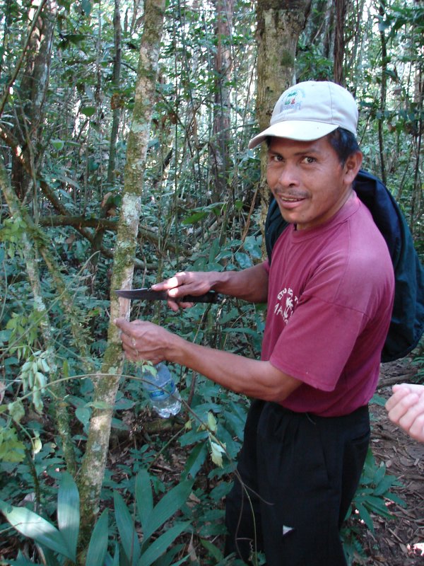 Jungle Doctor Luis