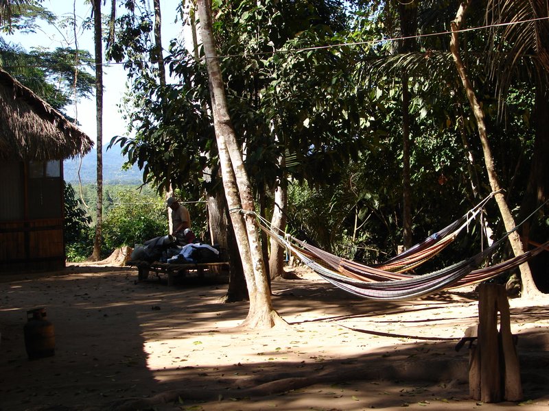 More hammocks