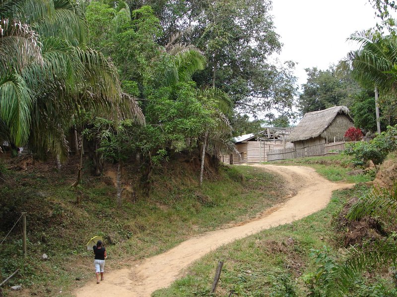 Path to the village