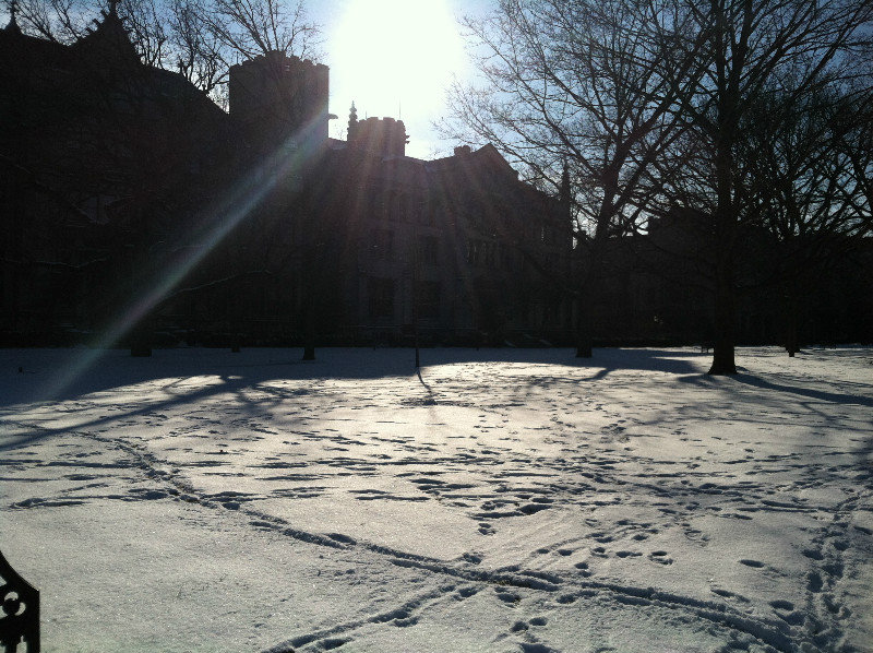 Campus at dead of winter