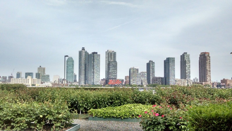 View of Long Island City from UN Gardens
