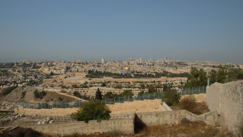 This and the next few are from the Mount of Olives