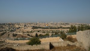 This and the next few are from the Mount of Olives