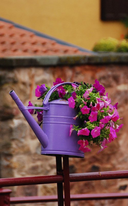 Watering Can on a Stick