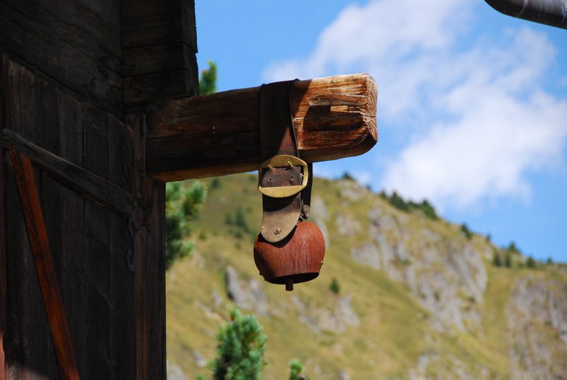 A Swiis cow hung her bell here