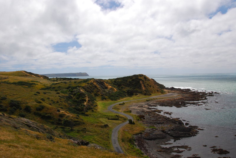 Wellington coast