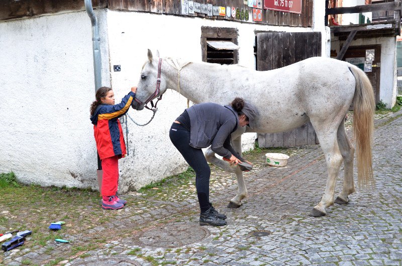Swiss gal cleaning her horses hoof. 