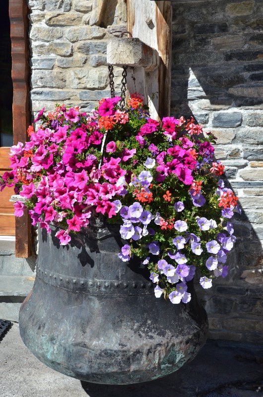 A BIG pot of flowers