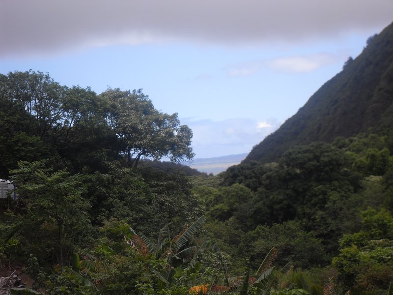 Maui 2010131