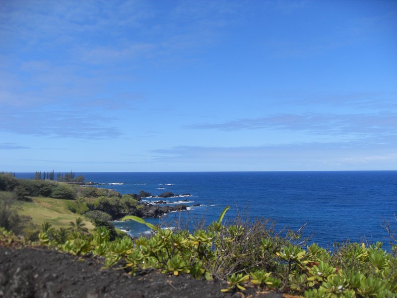 Maui 201040