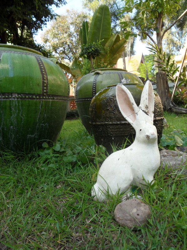 rabbit at the temple 