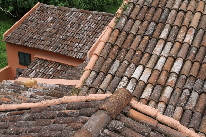 Typical Pan Tile Roof