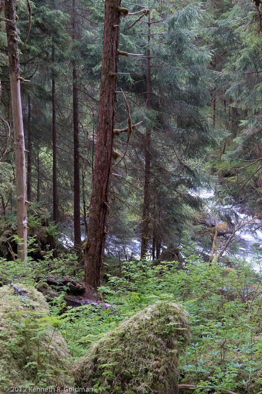 Cascade Creek Trail