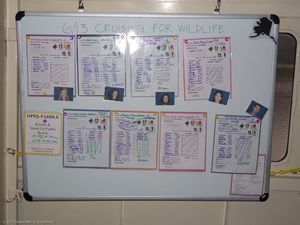 The Activity Board...