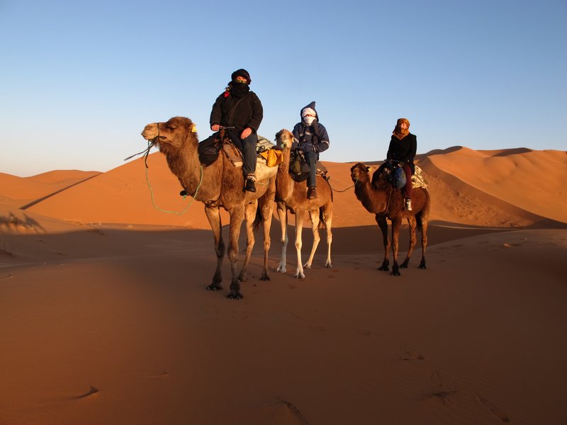 us on our camels