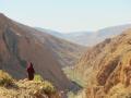 dades gorge and a shepherd