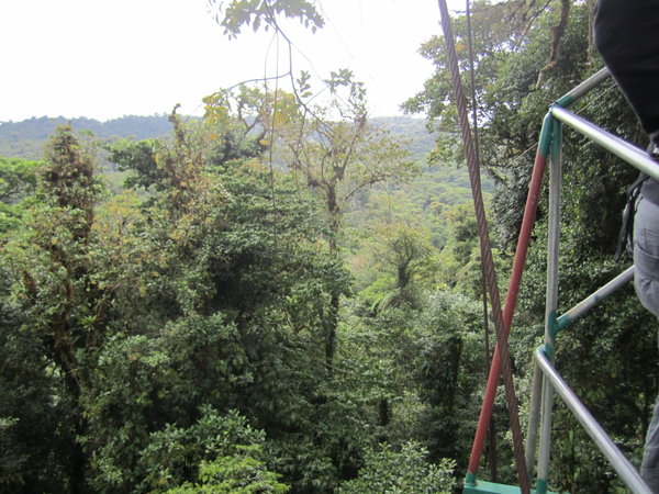 Monte Verde, Costa Rica