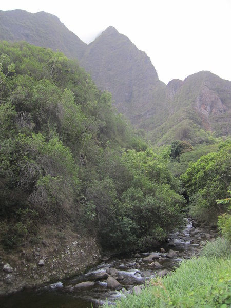 Maui  'Lao Valley State Park