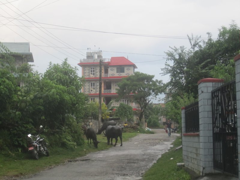 Our street in Pokhara