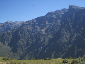 The Colca Canyon