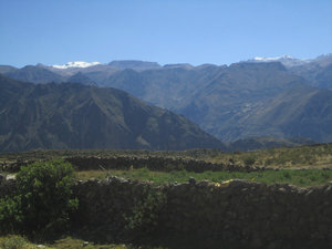 Pre-Inca terracing Colca Valley