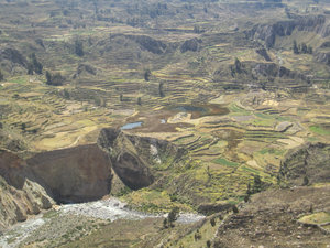  Pre Inca terracing