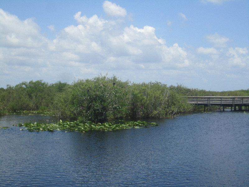 2 Everglades National Park (4)
