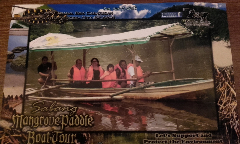 Mangrove Paddle Boat Tour