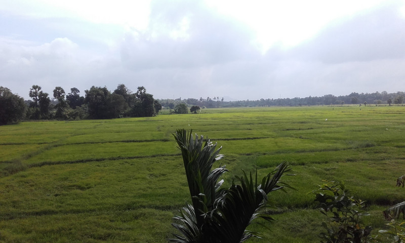Heaven over rice fields guesthouse 