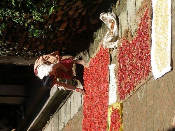 Bungmati - drying chillies