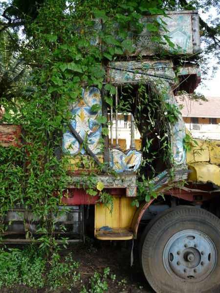 Truck and the triffids