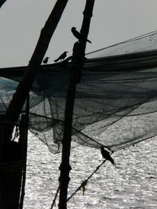 Chinese fishing nets  - close up