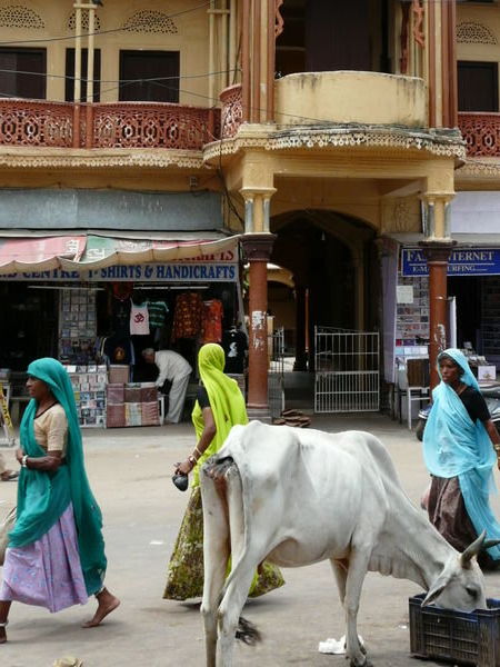Pushkar street 2