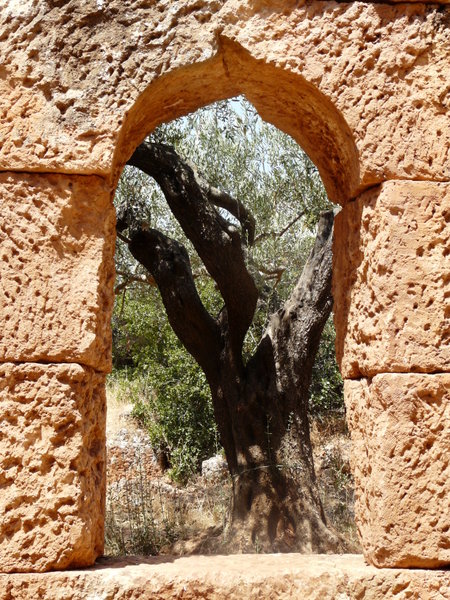 Carved window, Al Bari