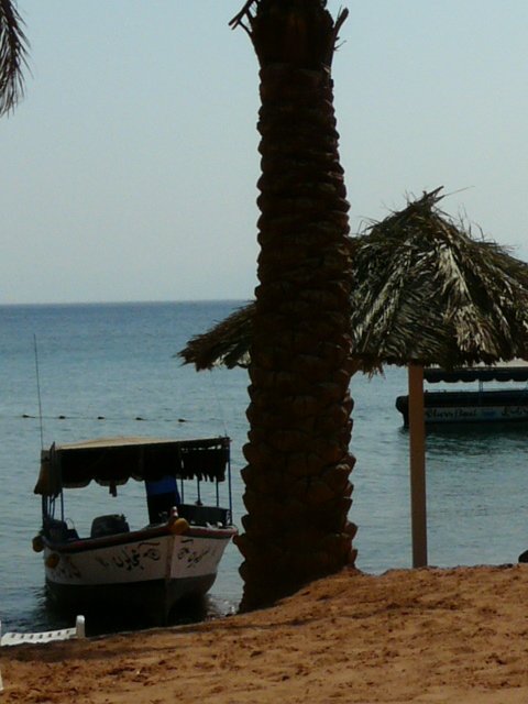 Aqaba beach afternoon