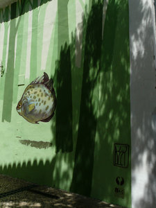 Lagos wall art