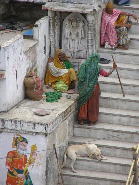 Udaipur, steps