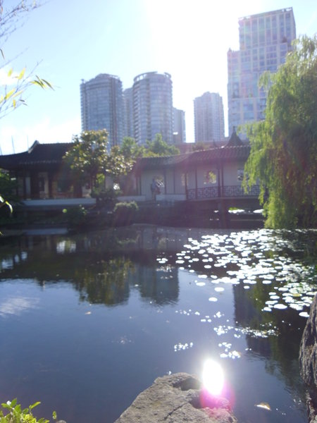 dr. sun yat-sen classical chinese garden 