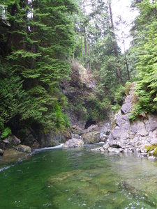 lynn canyon park