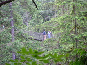 lynn canyon park