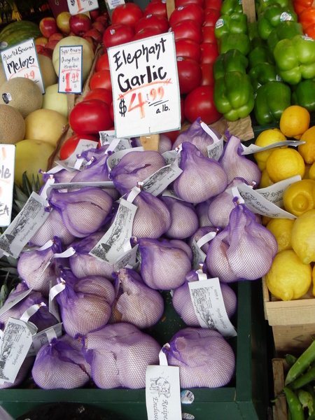 giant garlic, why don't they sell it back home
