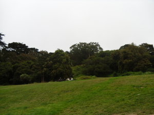 buena vista park, hippy hill