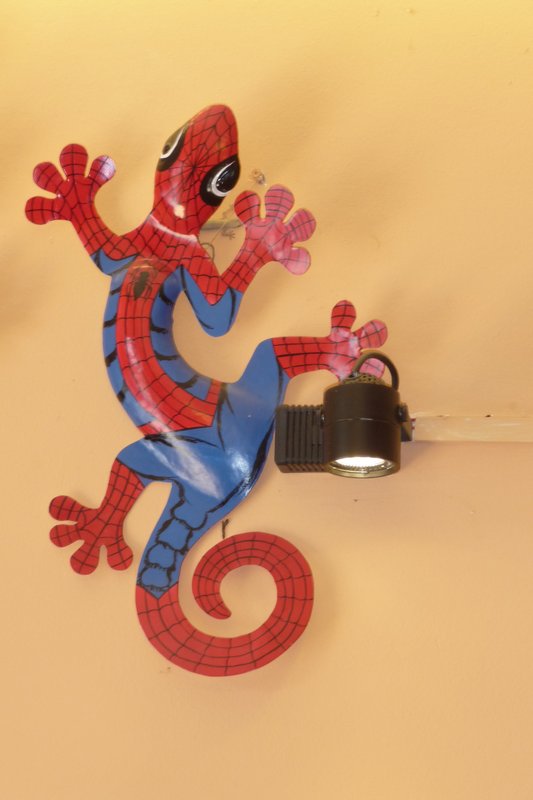 Spiderman, umm, SpiderGecko