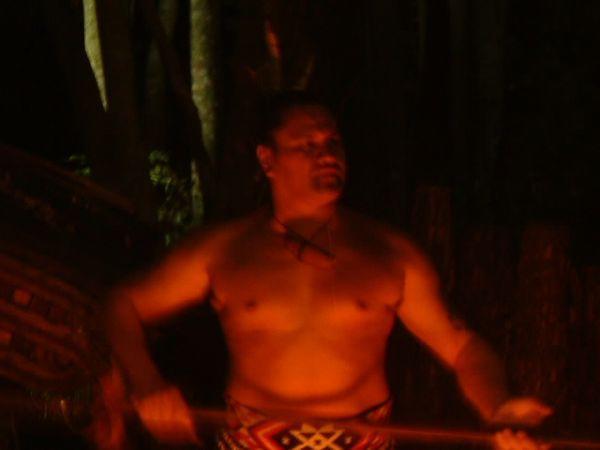 Maori Warior