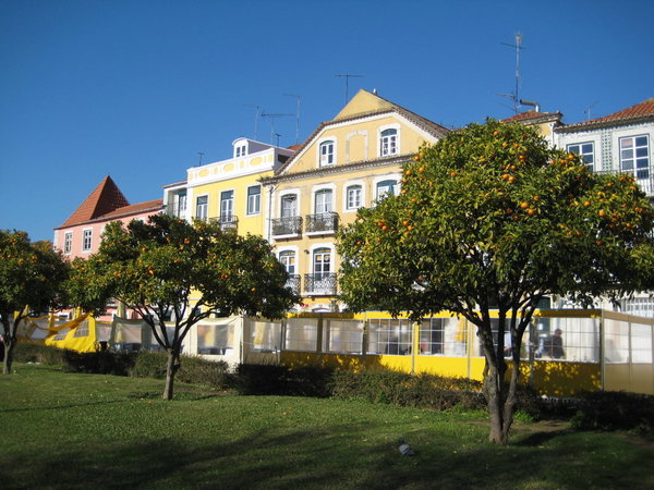 Jardim Vieira Portuense