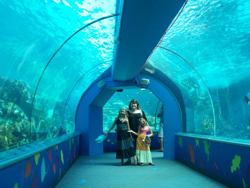 Reef Aquarium Townsville