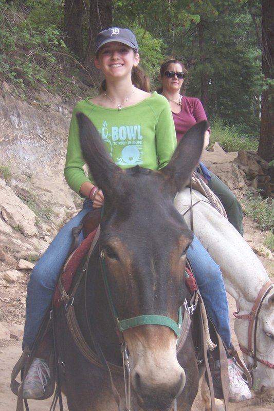 Mule rides into the canyon